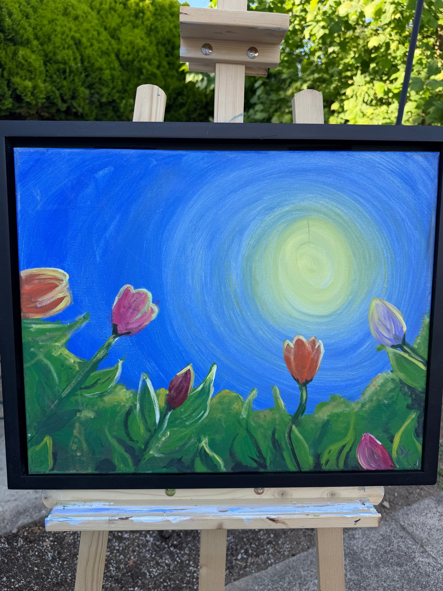 Spring Tulips 1