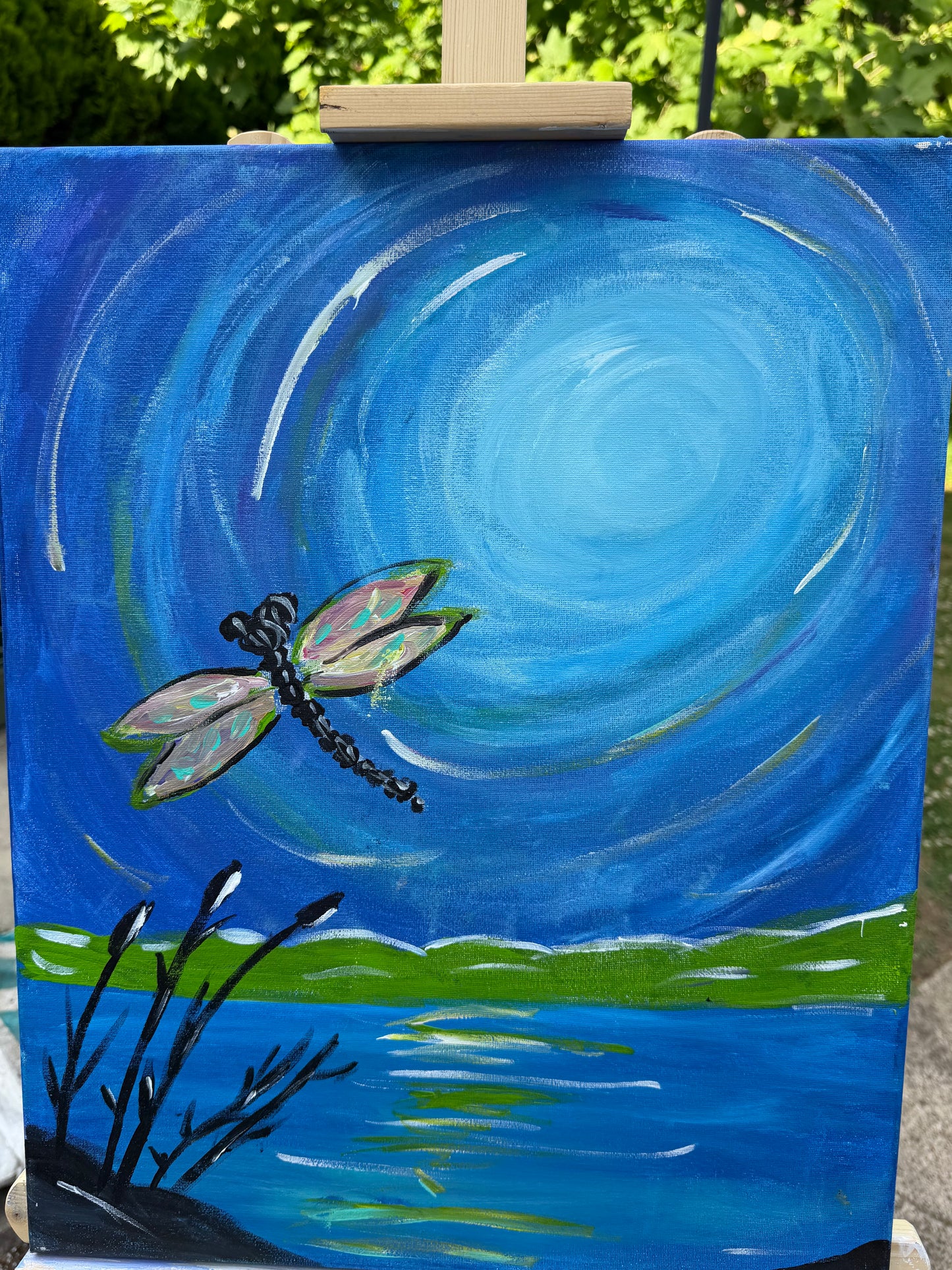 Dragonfly Summer
