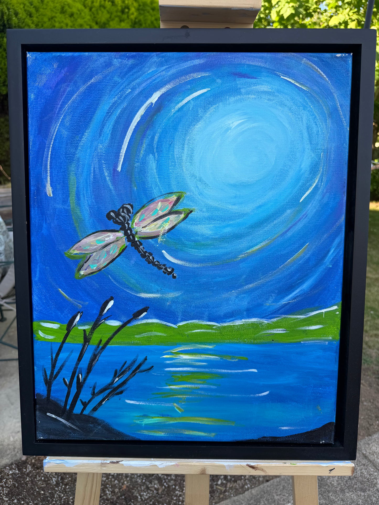 Dragonfly Summer