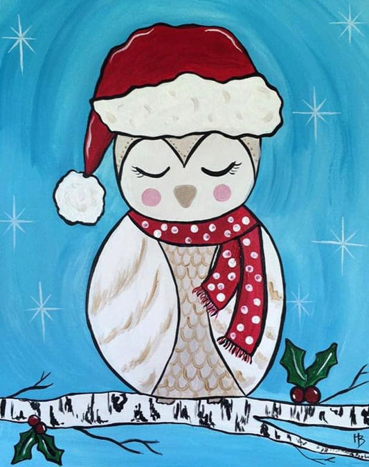 Santa Owl Paint Kit